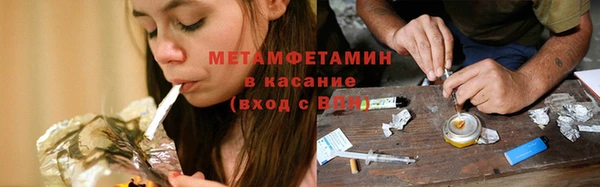 прущие грибы Костерёво