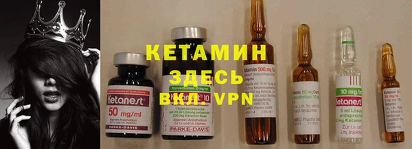 прущие грибы Костерёво