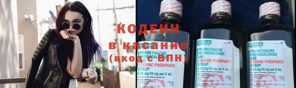 прущие грибы Костерёво