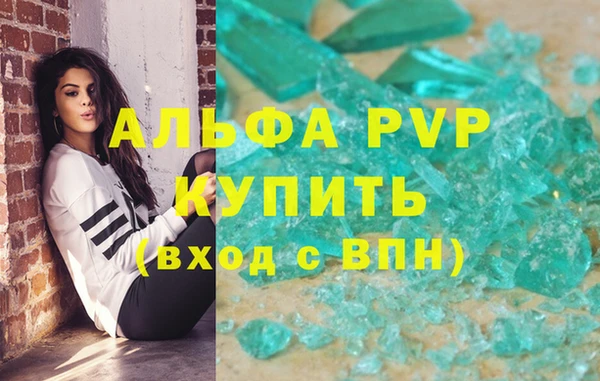 прущие грибы Костерёво