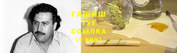 прущие грибы Костерёво