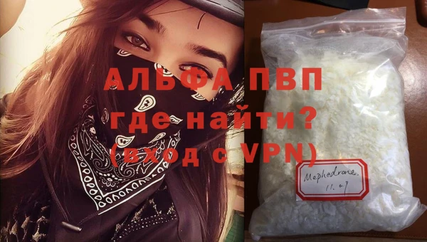 прущие грибы Костерёво