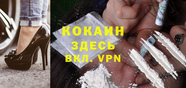 прущие грибы Костерёво