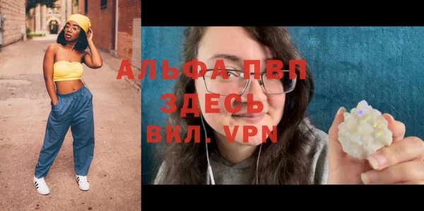 прущие грибы Костерёво