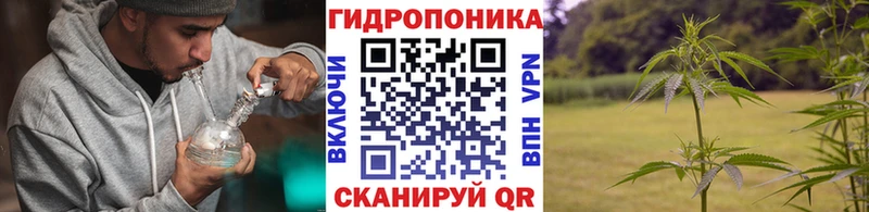 Бошки Шишки марихуана  Купить где  Донской 